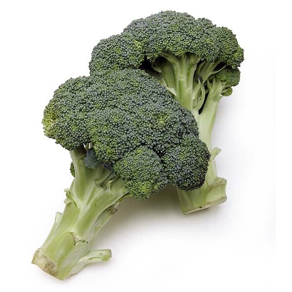Organic Broccoli 500gr